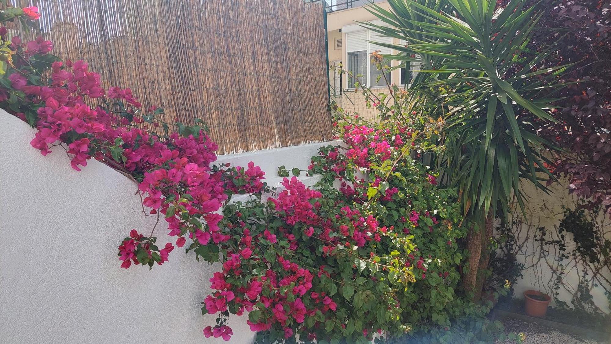 Apartment With Private Garden - Central Location ลิสบอน ภายนอก รูปภาพ